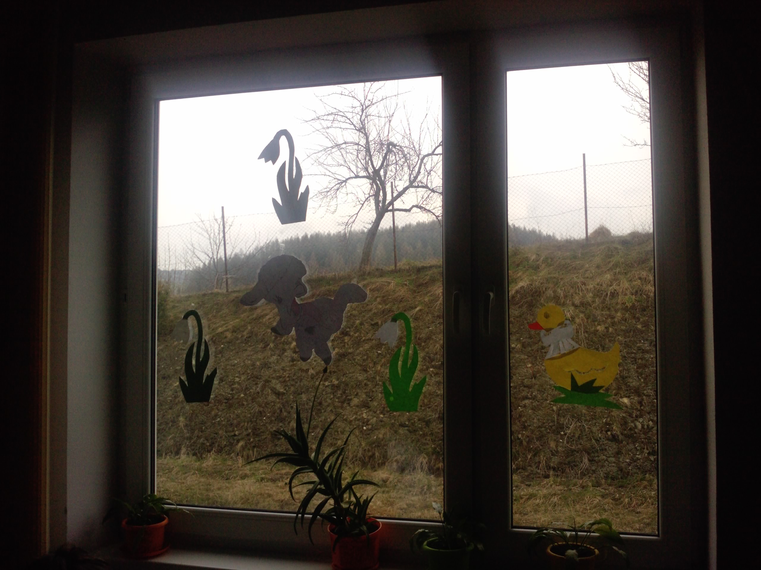 110415_100612.jpg